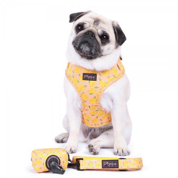 Citrus Got Real Adjustable Dog Harness
